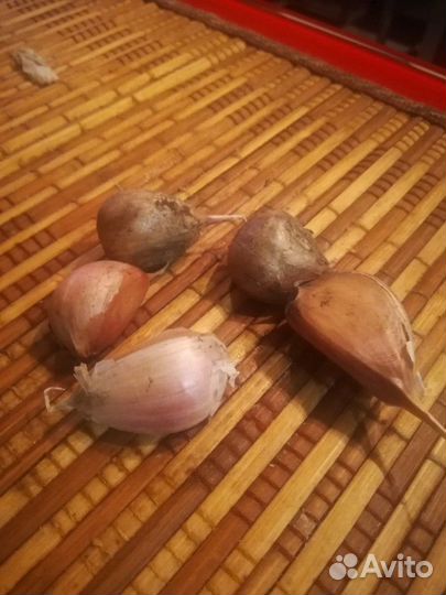 Чеснок на еду