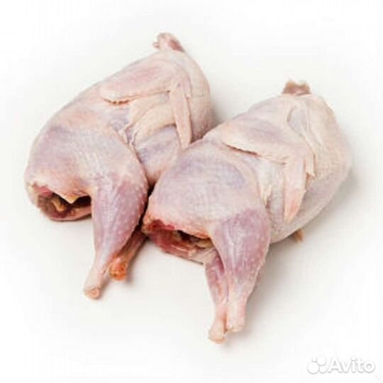 Мясо перепелки
