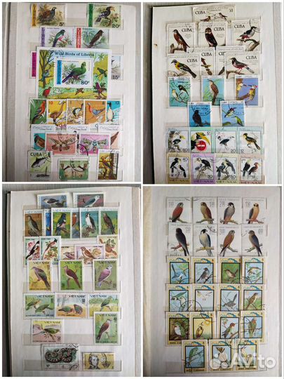 Альбом и 3 кляссера с почтовыми марками продажа