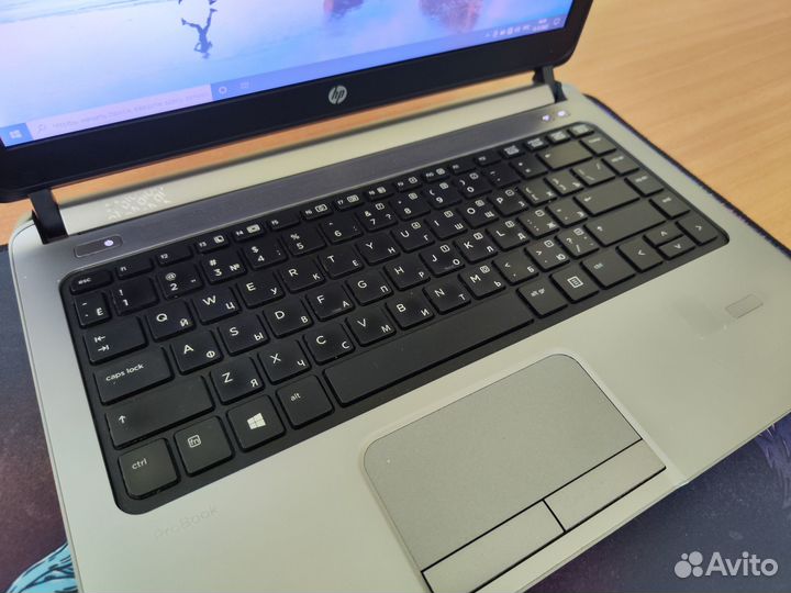 Неубиваемый ноутбук HP ProBook / ssd