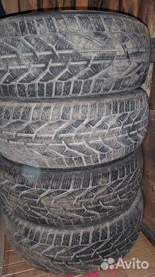 Tigar Winter 205/55 R16 94H