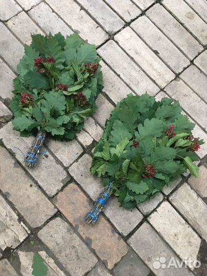 Веники дубовые