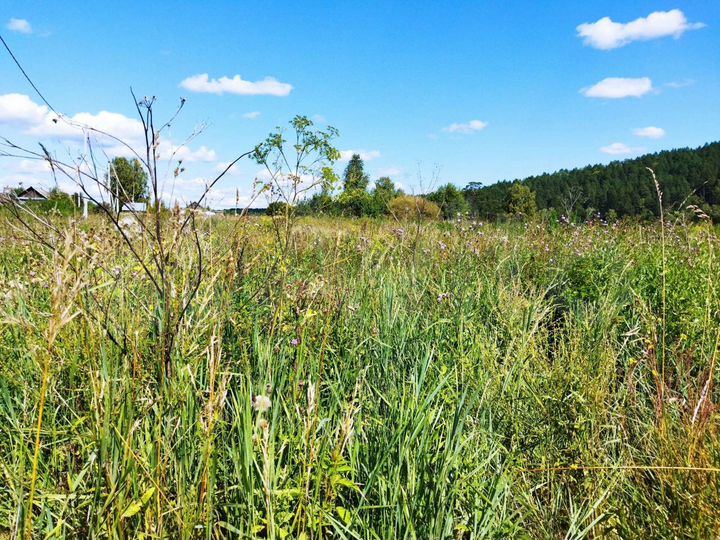 Участок 30 сот. (ИЖС)