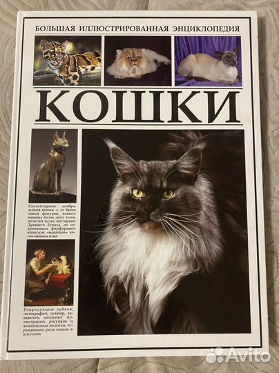 Энциклопедия кошки