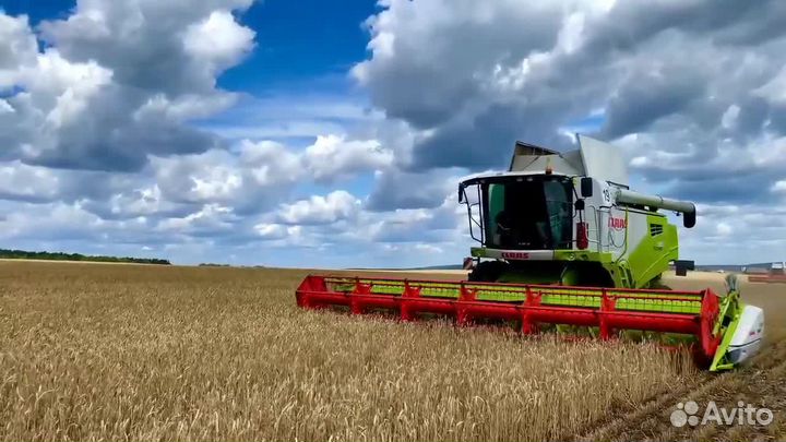 Требуются механизаторы