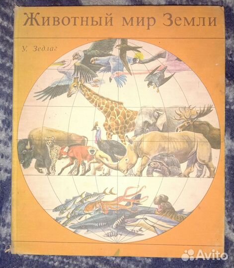 Стрижка,прически