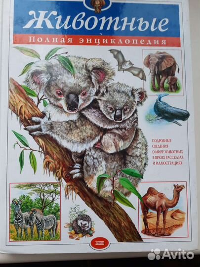 Детские книги, энциклопедии