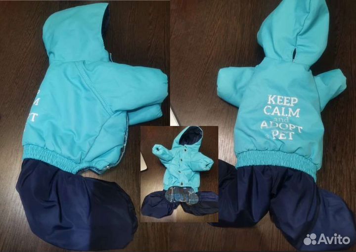 Одежда для животных