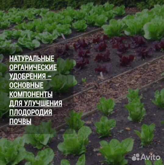 Перегной навоз чернозём в мешках