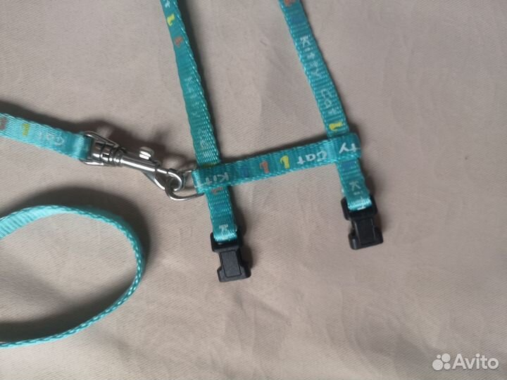 Голубая шлейка для котят