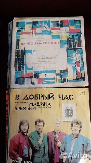 Вилиловые пластинки