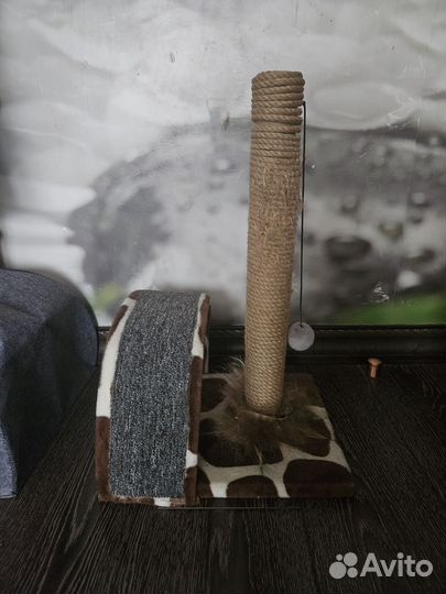 Когтеточка