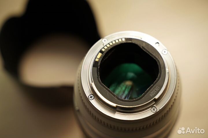 Объектив Canon EF 70-200mm f/2.8L