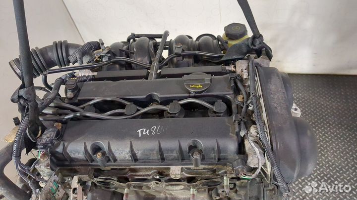 Двигатель Ford Focus 2 hxda, hxdb 1.6 Бензин, 2004