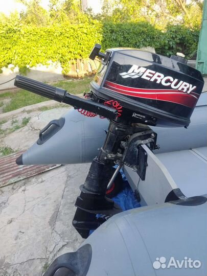 Надувная лодка с мотором