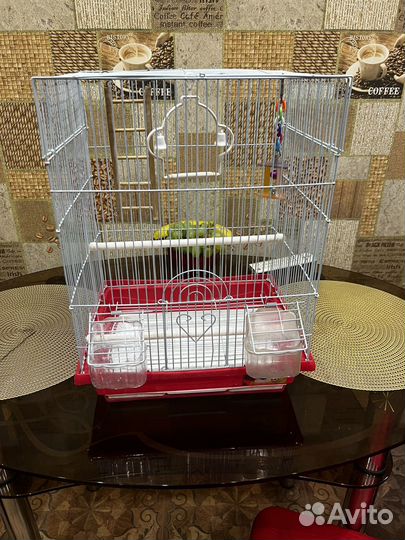 Клетка для попугая