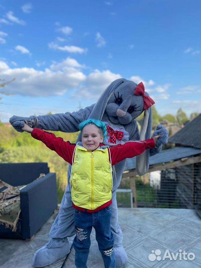 Белый мишка, заяц Плюша и мишка Тедди,поздравления