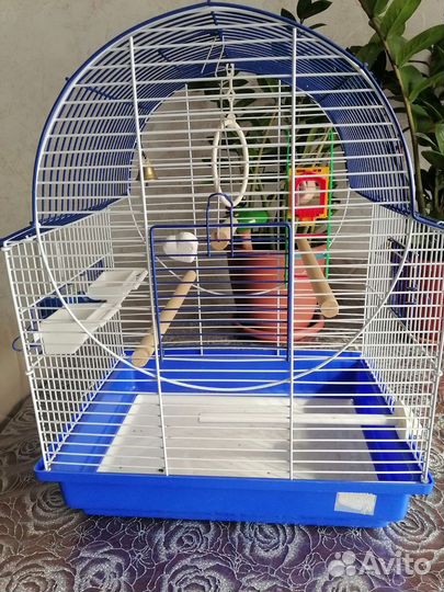 Клетка для попугая