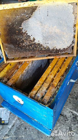 Улей для пчел бу