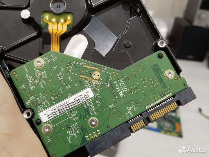 Жесткий диск 250 гб