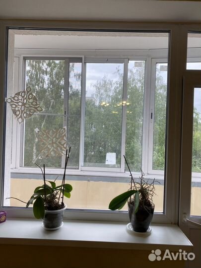 Балконный блок с дверью