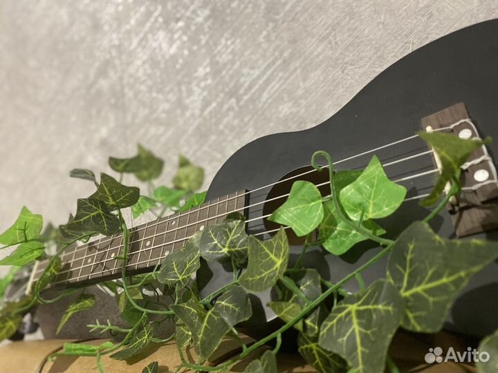 Укулеле концерт