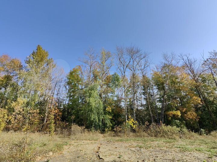 Дом 81 м² на участке 16 сот.