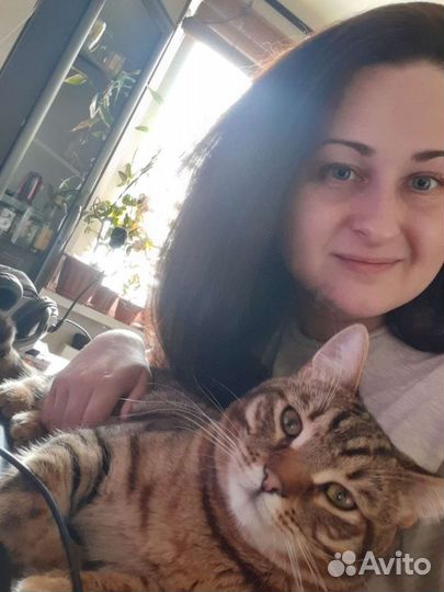 Котоняня