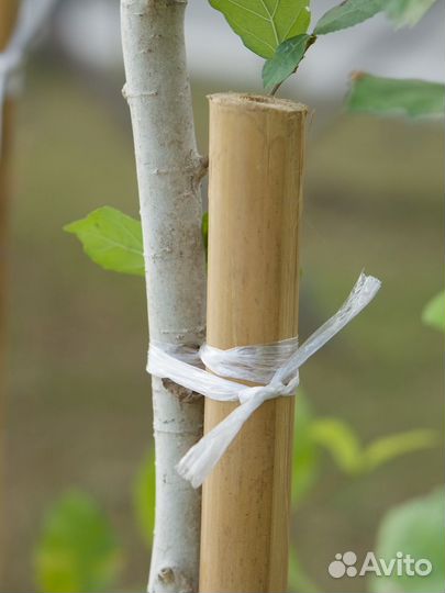 Шпагат-нить полипропиленовая для подвязки растений