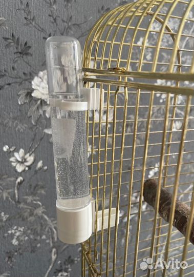 Поилка (автопоилка) для птиц и попугаев