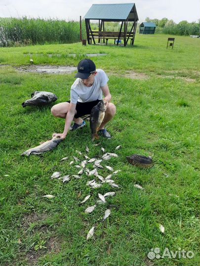 Платная рыбалка