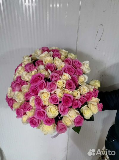 Розы с доставкой, букет роз 101 шт