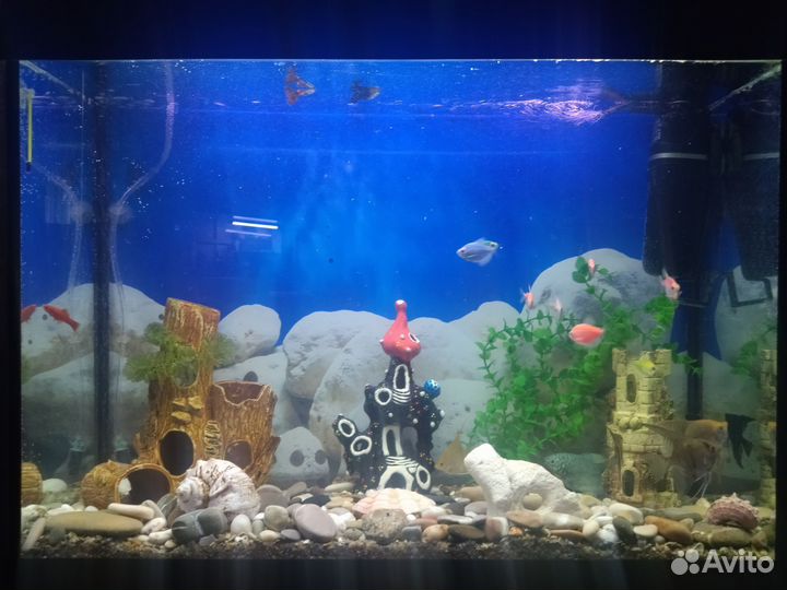 Аквариум с тумбой 100 литров