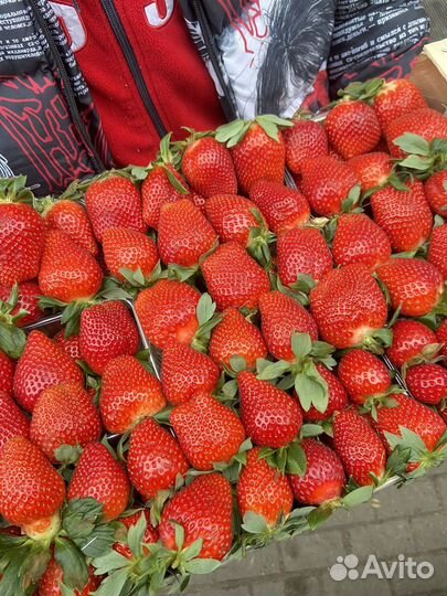 Доставка овощей и фруктов