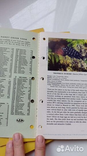 Брошюры, Exotic tropical fist, 1963г-72г