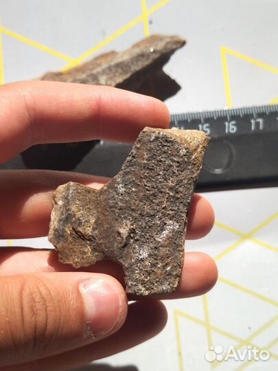 Редчайшая древесина