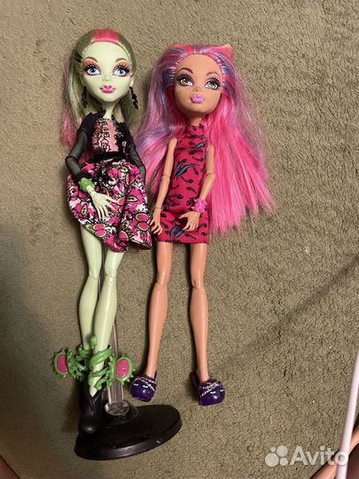 Кукла Монстер Хай венера и хоулин
