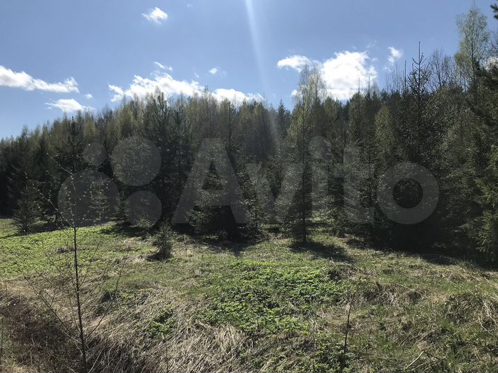 Участок 16,8 сот. (ИЖС)