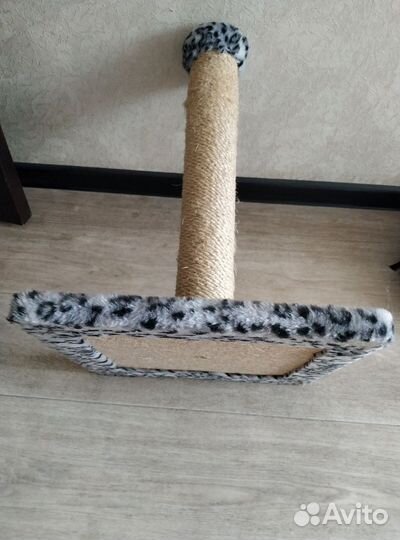 Когтеточка