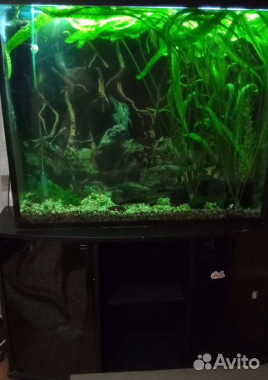 Аквариум с тумбой