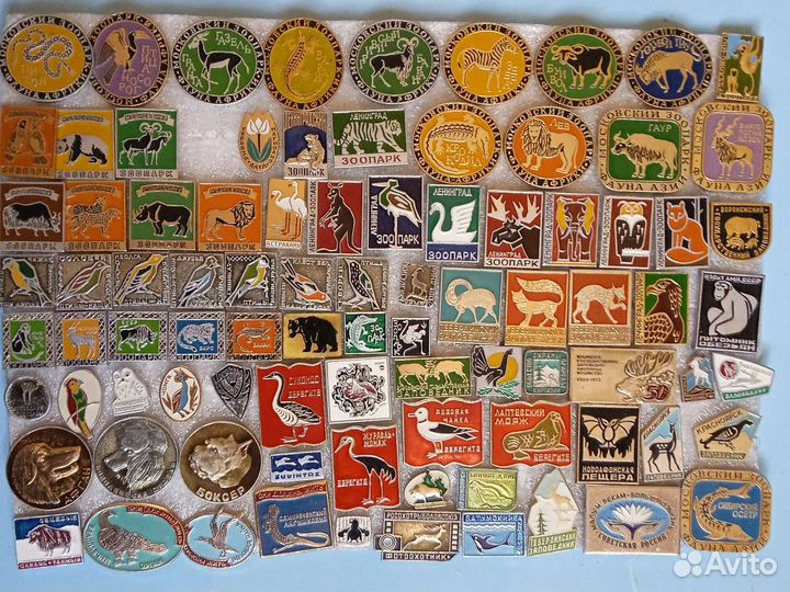 Значки о животных, растениях, птицах