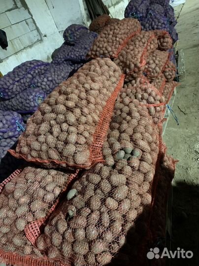 Картофель мелкий