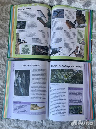 Детские энциклопедии