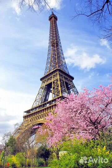 Репетитор по Французскому языку