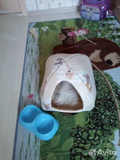 Домик для домашних животных