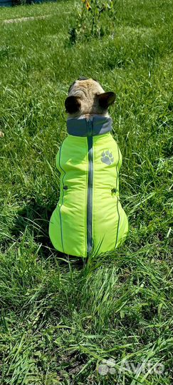 Жилетка для собак