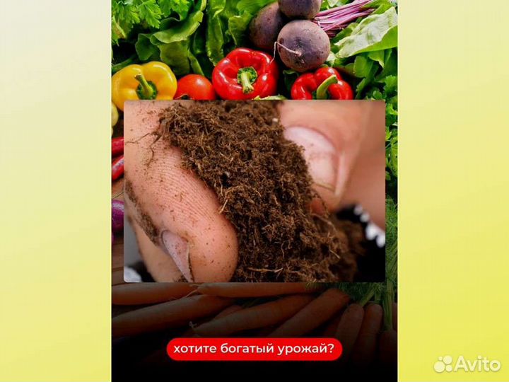 Кормилица Микориза от производителя