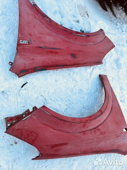 Крылья передние