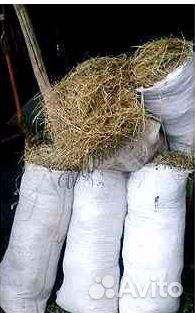 Сено душистое