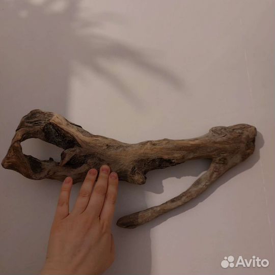 Топляк, коряга для макраме или декора, дрифтвуд